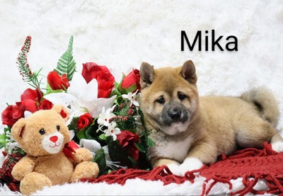Mika