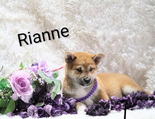 Rianne