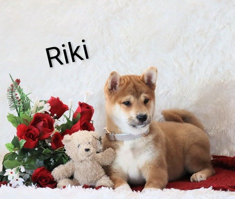 Riki