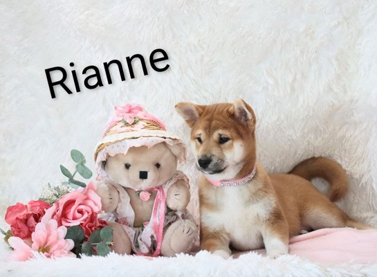 Rianne