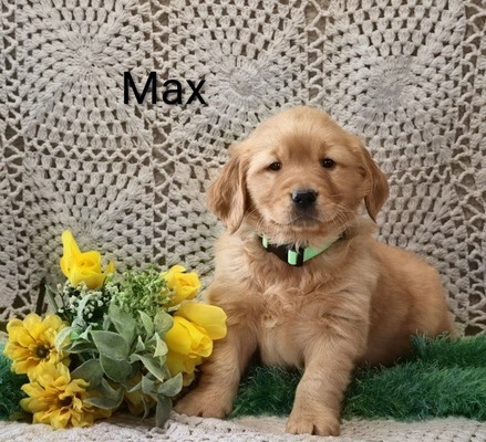 Max