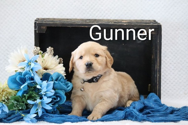 Gunner
