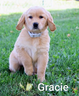 Graci