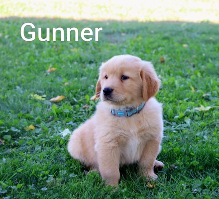 Gunner
