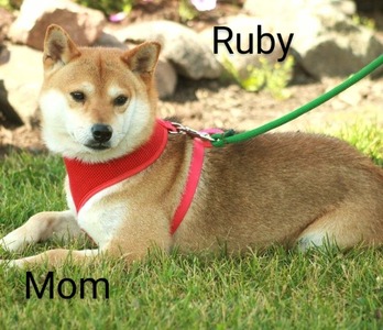 Ruby