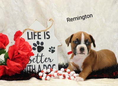 Remington