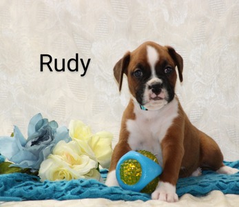 Rudy