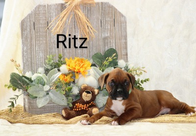 Ritz