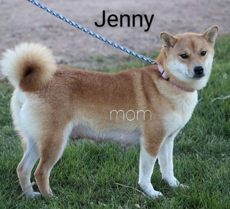 Jenny